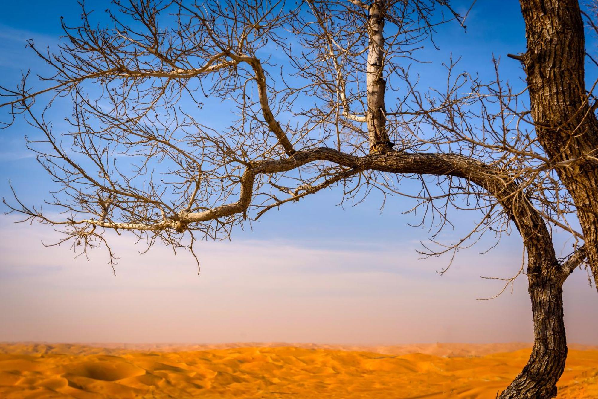 Liwa Hotel Mezairaa Exteriér fotografie